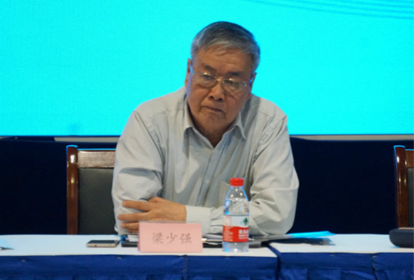 上海市照明學(xué)會副理事長梁少強