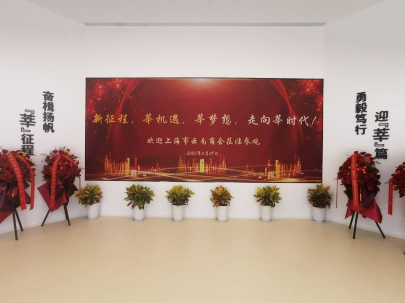 三思,智慧顯示,助力臨港,莘?？萍紙@,人才體系建設